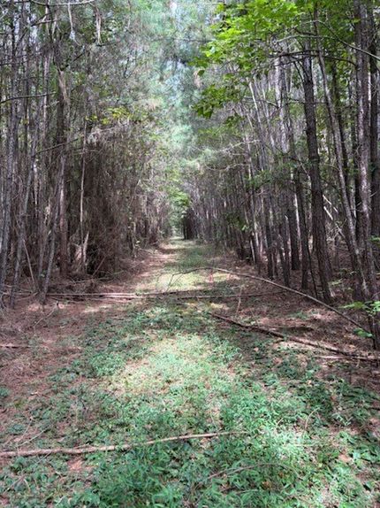 Recreational Property for sale in Cleburne County, Alabama