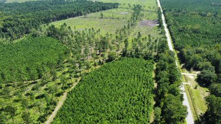 Farm and Ranch for sale in Williamsburg County, South Carolina