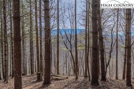 Recreational Property for sale in Ashe County, North Carolina