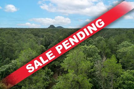 Undeveloped Land in Adams County, Wisconsin