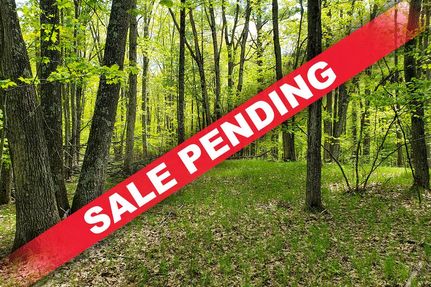 Hunting Property in Marinette County, Wisconsin