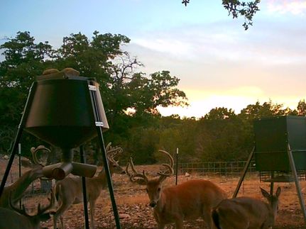 Undeveloped Land for sale in Edwards County, Texas