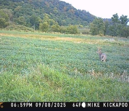 Timberland Property in Vernon County, Wisconsin
