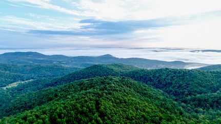 Undeveloped Land for sale in Marion County, Arkansas