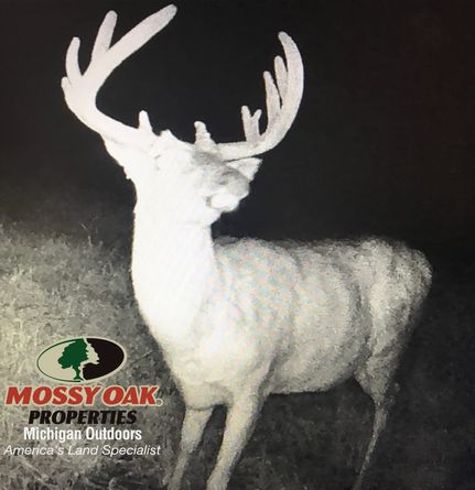 Land in Shiawassee County, Michigan