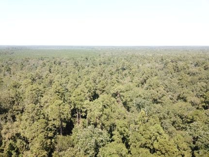 Land for sale in Angelina County, Texas
