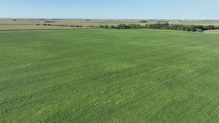 Undeveloped Land for sale in Livingston County, Illinois