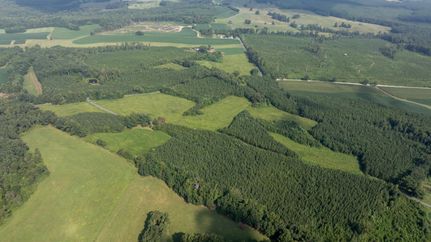 Land for sale in Charlotte County, Virginia