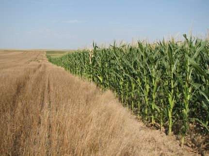 Farm and Ranch in Keith County, Nebraska