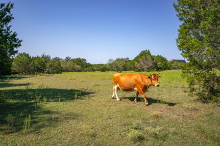 Land for sale in Williamson County, Texas