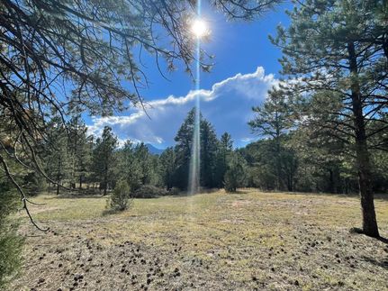 Timberland Property for sale in Custer County, Colorado