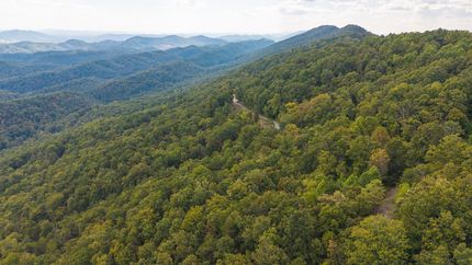 Timberland Property for sale in Hawkins County, Tennessee
