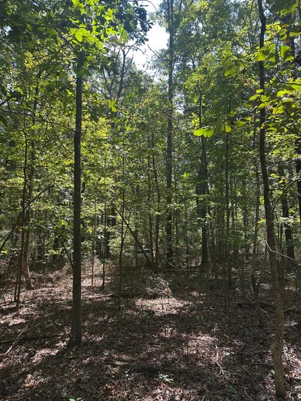 Homesite for sale in Grundy County, Tennessee