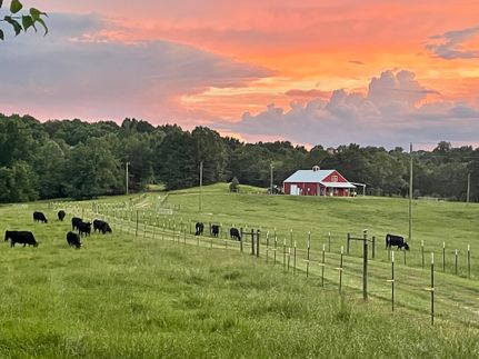 Timberland Property for sale in Bullock County, Alabama
