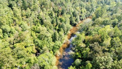 Farm and Ranch for sale in Winston County, Alabama