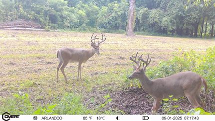 Farm and Ranch for sale in Phillips County, Arkansas