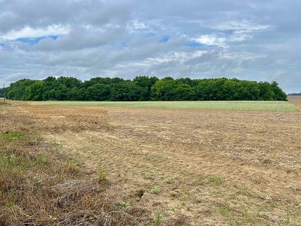 Land in Dooly County, Georgia