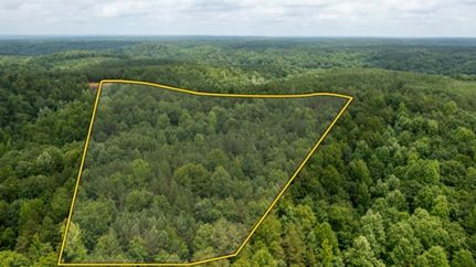 Undeveloped Land for sale in Hickman County, Tennessee