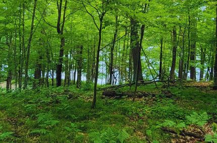 Undeveloped Land for sale in Crow Wing County, Minnesota