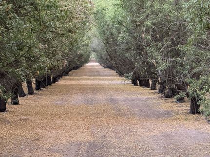 Land for sale in Stanislaus County, California