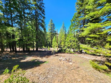 Land for sale in Modoc County, California