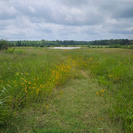 Land for sale in Hinds County, Mississippi