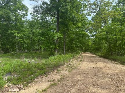 Undeveloped Land for sale in Reynolds County, Missouri