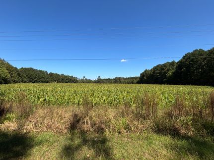 Timberland Property for sale in Marlboro County, South Carolina