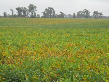 Land for sale in Ransom County, North Dakota