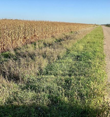 Land for sale in Chippewa County, Minnesota