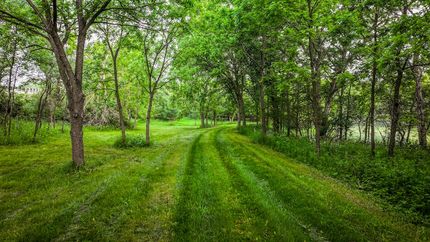 Recreational Property in Fillmore County, Minnesota