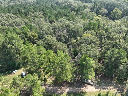 Land for sale in LaSalle Parish, Louisiana