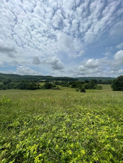 Undeveloped Land for sale in Overton County, Tennessee