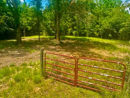 Recreational Property for sale in Jefferson Davis County, Mississippi