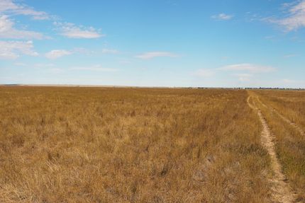 Farm and Ranch for sale in Weld County, Colorado