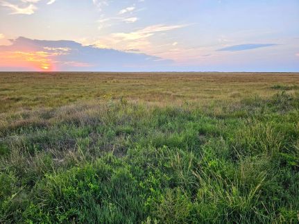 Undeveloped Land for sale in Prowers County, Colorado