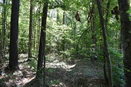 Undeveloped Land for sale in Sabine Parish, Louisiana