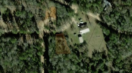 Undeveloped Land for sale in Polk County, Texas