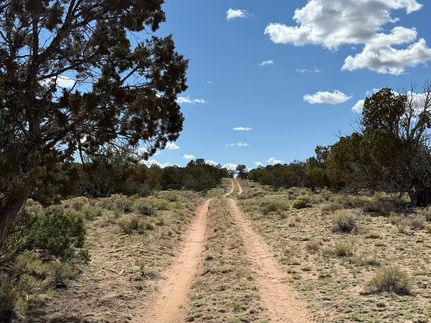 Undeveloped Land for sale in Apache County, Arizona