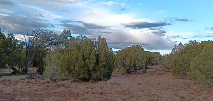 Farm and Ranch for sale in Apache County, Arizona