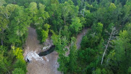 Land for sale in Houston County, Texas