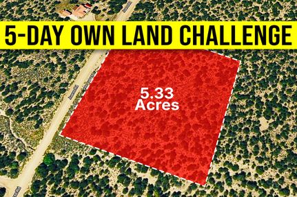 Undeveloped Land for sale in Costilla County, Colorado
