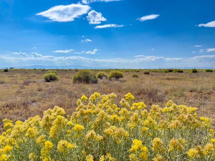 Recreational Property for sale in Alamosa County, Colorado