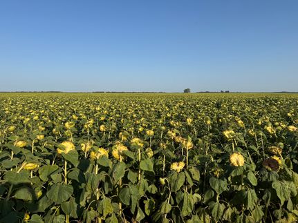 Farm and Ranch for sale in Pembina County, North Dakota