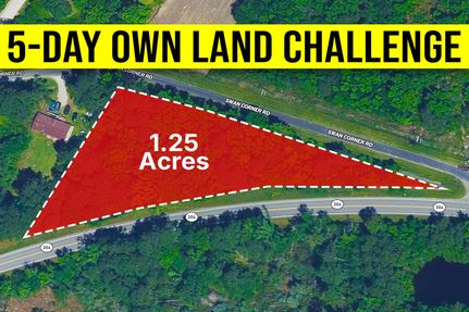 Timberland Property for sale in Pamlico County, North Carolina