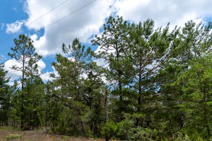 Undeveloped Land for sale in Putnam County, Florida
