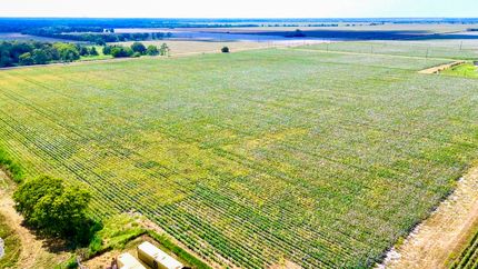 Undeveloped Land for sale in Fort Bend County, Texas
