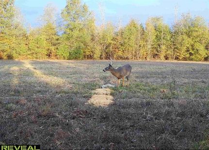 Horse Property for sale in White County, Arkansas