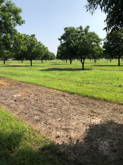 Farm and Ranch for sale in Denton County, Texas