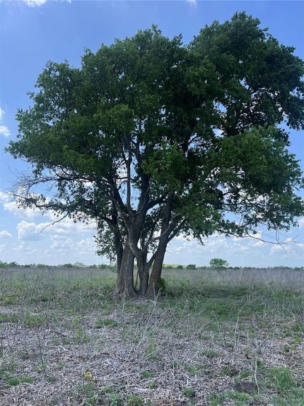 Undeveloped Land for sale in Coryell County, Texas